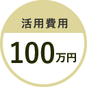 活用費用100万円